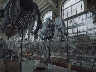 Making Shadows Speak