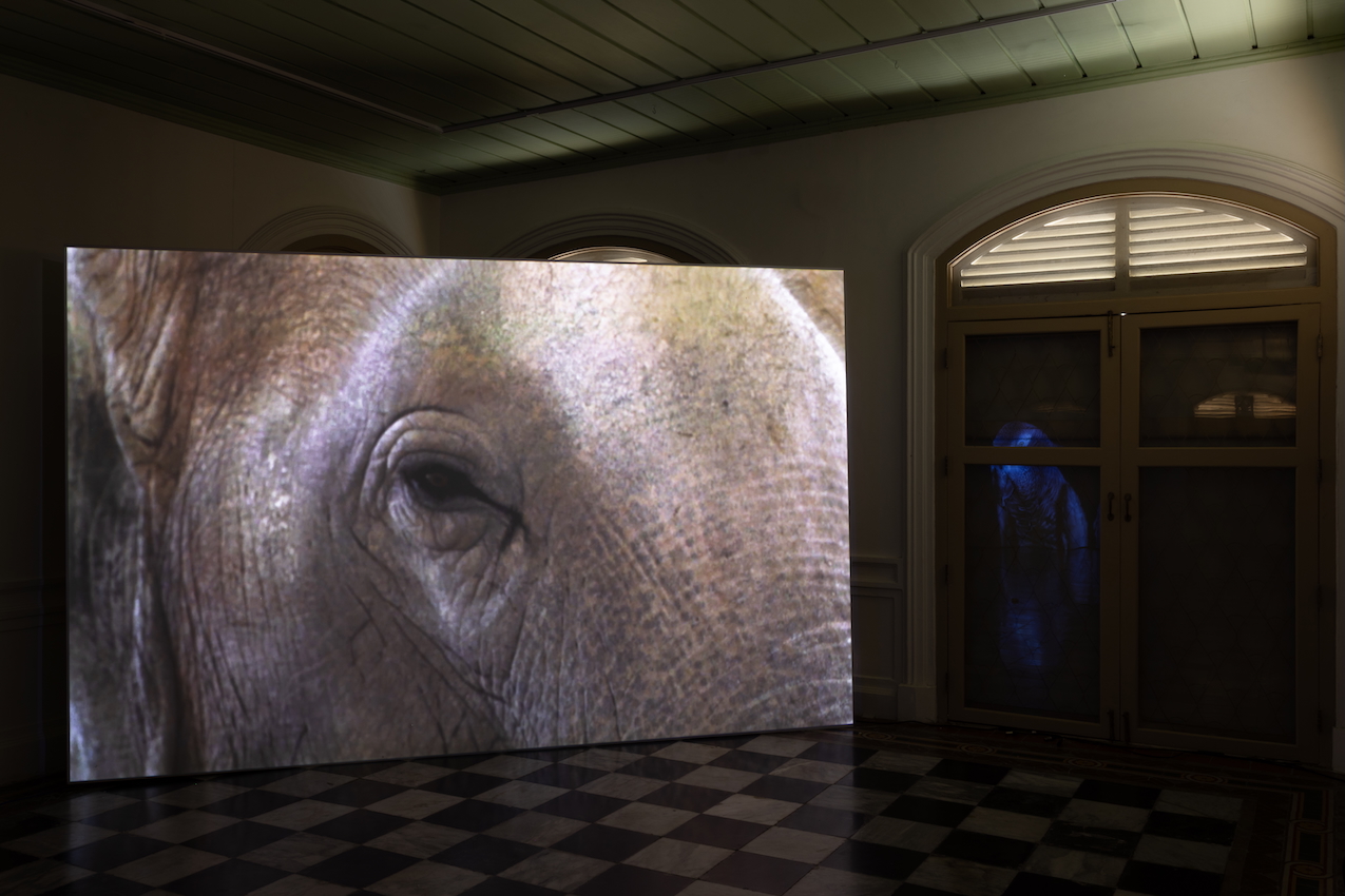 Installation Diagram