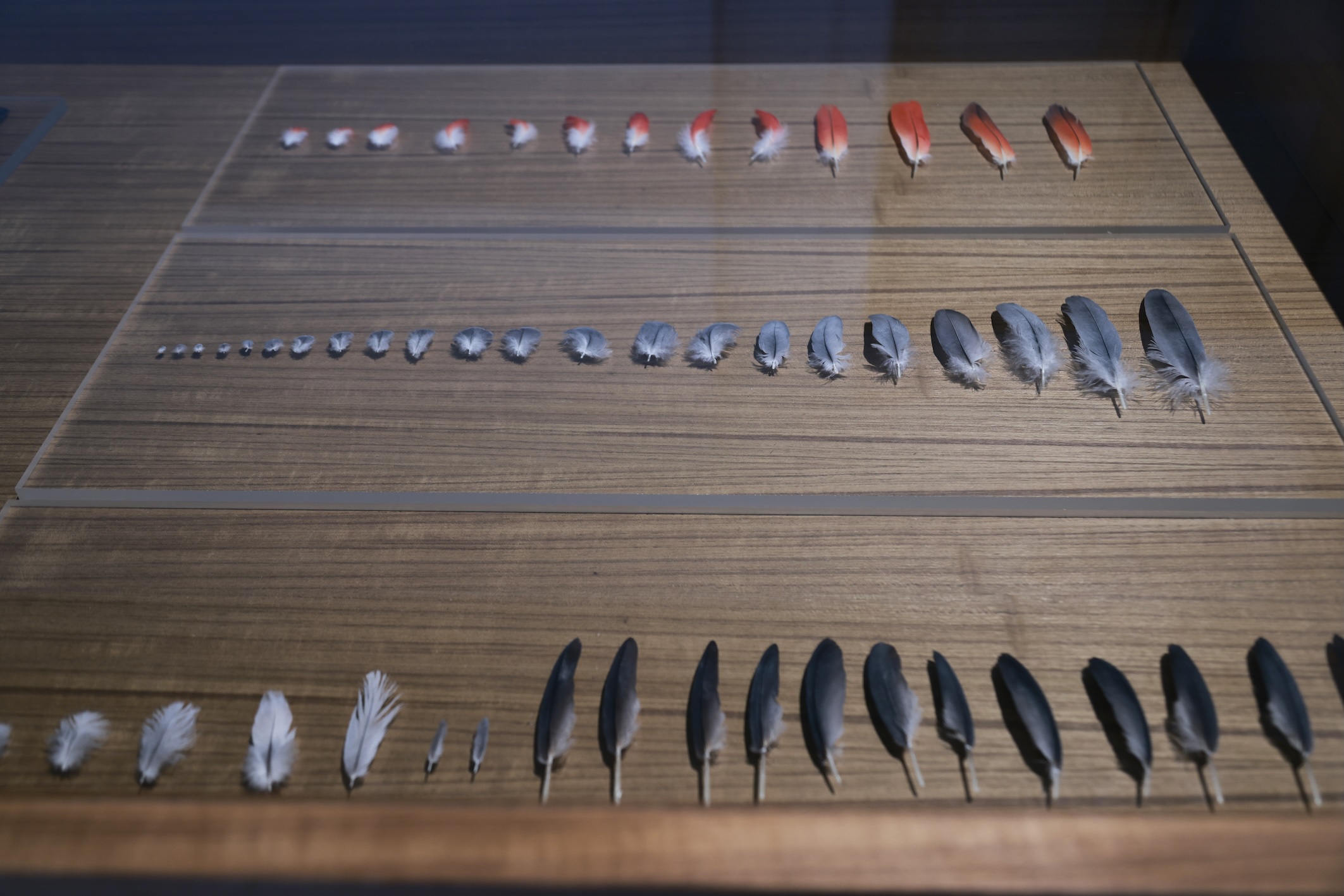 Installation Diagram